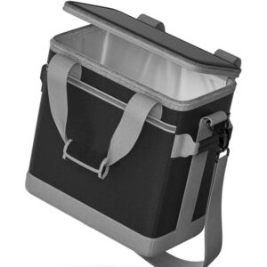 Insulated Leakproof Cooler Bag